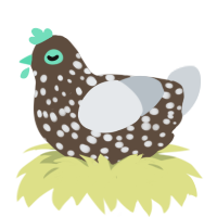 A bark and mist chicken with a speckle pattern