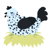 A white and sable chicken with a speckle pattern