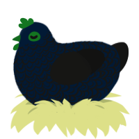 A tumblr and black chicken with a double-lace pattern