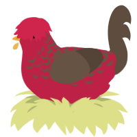 A crimson and bark chicken with a half-lace pattern