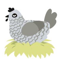 A mist and ash chicken with a lace pattern