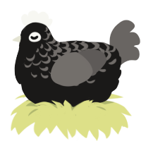 A sable and grey chicken with a half-lace pattern