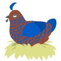 (unnamed), a russet and ultramarine chicken with a lace pattern