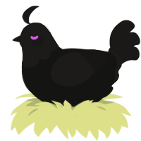 Enderman, a black and sable chicken with a head pattern