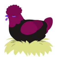 A sable and wine chicken with a head pattern