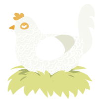mercy, a white chicken with a double-lace pattern