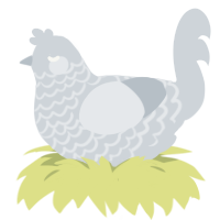 A mist chicken with a lace pattern