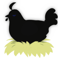 A black chicken