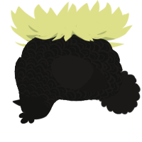 Centaurus A, a black and sable chicken with a double-lace pattern