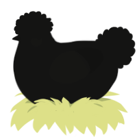 Shadowling, a black chicken
