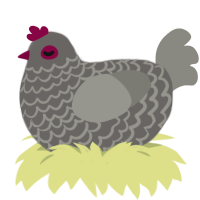 A grey and ash chicken with a lace pattern
