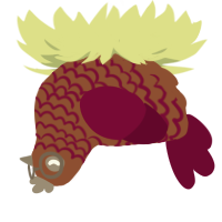 Sniper, a russet and maroon chicken with a lace pattern