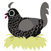 A black and grey chicken with a lace pattern