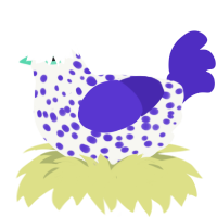 A white and indigo chicken with a speckle pattern