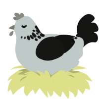 Charcoal, a silver and black chicken with a neck-speckle pattern