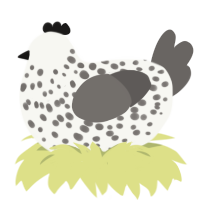 Cookies n Cream, a white and grey chicken with a speckle pattern