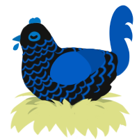 Grey Bronze, a black and ultramarine chicken with a lace pattern