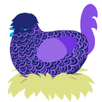 Mis, a navy and blurple chicken with a double-lace pattern