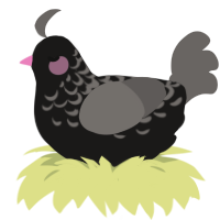 Ceres, a sable and grey chicken with a half-lace pattern