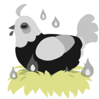 The Nightmare, a sable and silver chicken with a head pattern