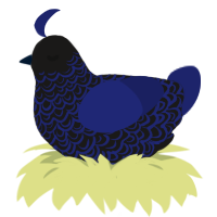 deep sea, a sable and navy chicken with a double-lace pattern