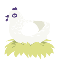 Star Apple, a white chicken with a half-lace pattern