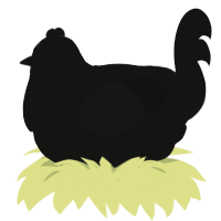 Nightmare, a black chicken with a neck-speckle pattern