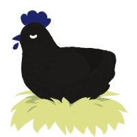 Almost Void, a sable chicken with a lace pattern