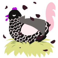 My Immortal, a black and rose chicken with a lace pattern