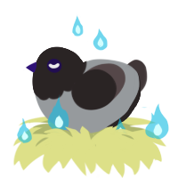 The Unholy One, a grey and silver chicken with a head pattern