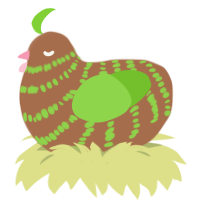 Kiwi, a brown and grass chicken with a bar pattern