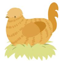 Puppy, a honey and orange chicken with a bar pattern