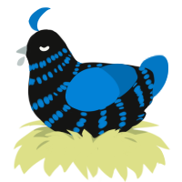 (unnamed), a black and sapphire chicken with a bar pattern