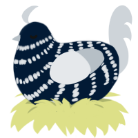 (unnamed), a tumblr and mist chicken with a bar pattern