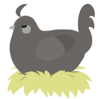 concrete, a grey chicken