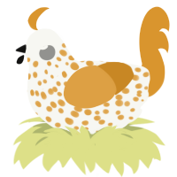 Candy Corn, a white and orange chicken with a speckle pattern