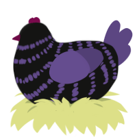 Molière the Terrible, a black and overcast chicken with a bar pattern