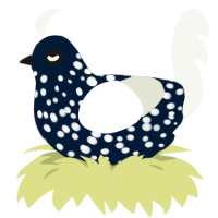 Yeast Soda, a tumblr and white chicken with a speckle pattern
