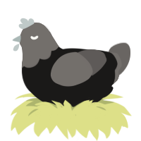 Moment of Clarity, a sable and grey chicken with a head pattern