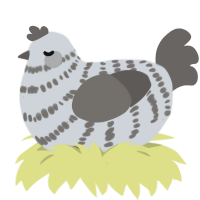 (unnamed), a mist and grey chicken with a bar pattern