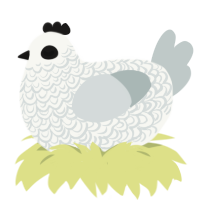 A white and silver chicken with a double-lace pattern