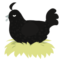 (unnamed), a black and sable chicken with a speckle pattern