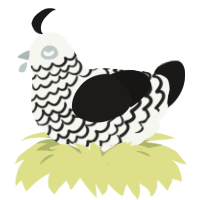 A white and sable chicken with a lace pattern