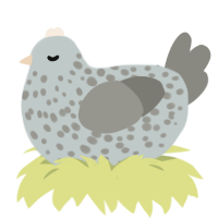 Blessing, a silver and ash chicken with a speckle pattern