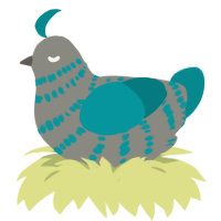 A ash and teal chicken with a bar pattern