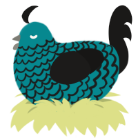 Nevermore, a teal and sable chicken with a lace pattern