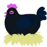 (unnamed), a black and tumblr chicken with a lace pattern