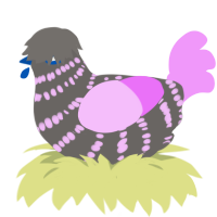 Bleebit, a grey and lavender chicken with a bar pattern