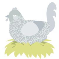 (unnamed), a silver and mist chicken with a double-lace pattern