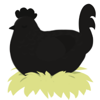 Black Hole, a sable chicken with a half-lace pattern